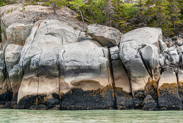 Wall Mural - Skagway, Alaska, USA - July 20, 2011: Taiya Inlet above Chilkoot Inlet. Closeup of white, gray and brown rocky shoreline above green water. Some green tree foliage on top.