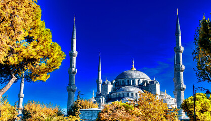 Poster - Blue Mosque (Sultanahmet Camii) surrounded by trees on a sunny day, Istanbul, Turkey.