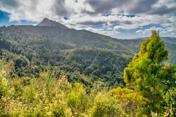 Canvas Print - Beautiful countryside of New Zealand in spring, North Island