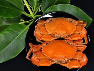 2 cooked red mud crabs arranged on a black plate and decorated with leaves of mangroves.