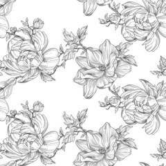 Wall Mural - Pencil drawing of a Floral Seamless pattern. Magnolia flowers on a white background. Textile composition, hand drawn print. Texture background for creativity and advertising.