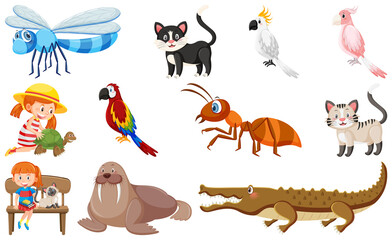 Poster - Set of various wild animals in cartoon style