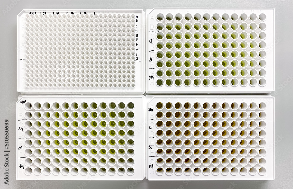 Three 96 well plates and one 384 well plate on a lab bench The plates
