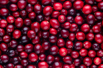 Wall Mural - Cranberry bio background, food background.