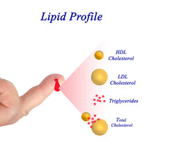 Sticker - Desirable range of Lipid profile