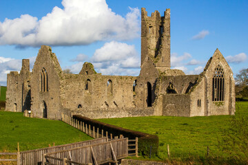 Wall Mural - Dominican Priory in Kilmallock