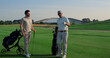 Business partners play golf on course field. Golfing team talking sport outside.