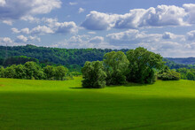Lush Green Trees In An Open Meadow With Tree Covered Hills And A Partly Cloudy Blue Sky.. Photographer Derek Broussard