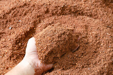 Lots Of Sawdust Or Wood Chips In A Man's Hand.