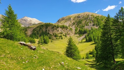 Canvas Print - montagne