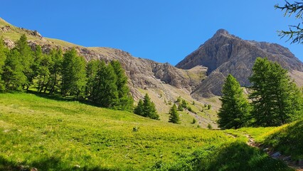 Canvas Print - montagne