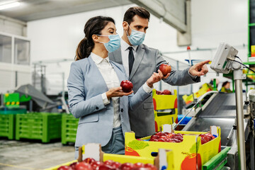 Wall Mural - Two experts with face masks measuring apples on scales in fruit production factory.