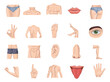 Human body parts icons set. Colored vector element from body parts collection. Creative Human body parts icons set for web design, templates and infographics.