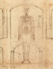 Ancient Renaissance Anatomy And Architecture Drawings Overlaid In Photoshop