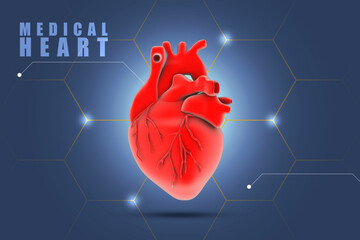 Wall Mural - 3d illustration  Anatomy of Human Heart 
