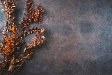 Old Rusty Metal Sheet As Grunge Design With Cottage Style Decoration And Copy Space Right As Background