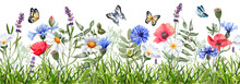 Meadow Flower In Green Grass Seamless Border. Daisy, Poppies, Cornflower Bouquets And Butterfly. Watercolor Illustration Isolated On White Background