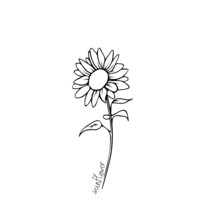 Sunflower In Minimalist Style. Floral Nature, Women's Day Gift, Romantic Date. Illustration, Sketch, Outline Drawing