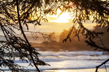 Canvas Print - Ocean sunset