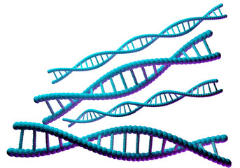 Chains DNA. Several strands of human genome. DNA and RNA visualization. Human genome isolated on white. Metaphor for DNA tests or parentage checks. Genetic elements in different position. 3d image