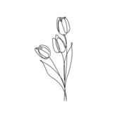 Fototapeta Tulipany - Continuous Line Drawing Of Plants Black Sketch of Flowers Tulips Isolated on White Background. Flowers One Line Illustration. Tulip Minimalist Line Art Drawing. Vector EPS 10.