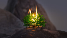 Burning Bush, A Depiction Of The Scene Of Moses Encountering God In The Book Of Exodus, Old Testament Biblical Imagery. Green Leaves With Fire.