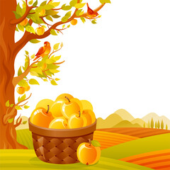 Apple basket in orchard. Fruit farm vector. Apple picking in fall garden vector. Cartoon agriculture harvest landscape with autumn tree and basket. Vintage summer or fall landscape illustration art