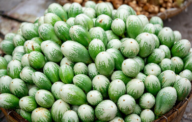 group of many eggplants, green eggplant background
