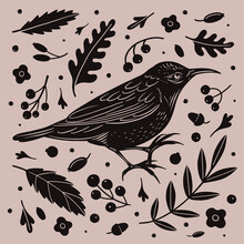 Engraving Impression Of Black Starling. Forest Bird Among Leaves And Berries In Style Of Screen Printing. Element For Design Of Postcards, Books, Packaging. Vector Illustration On Isolated Background.