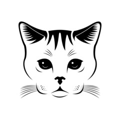 Wall Mural - cat face  vector