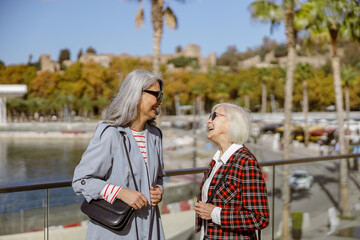 Wall Mural - Female friends having conversation on promenade by sea