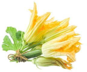 Wall Mural - Zucchini flowers on a white background.