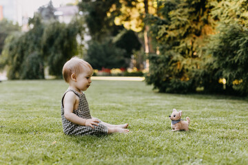 Wall Mural - Little child playing with a puppy toy sitting on freshly cut green grass.