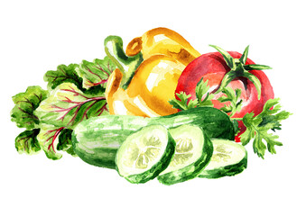 Wall Mural - Fresh vegetables. Cherry tomatoes with cucumber, bell pepper paprica and greenery. Hand drawn watercolor illustration, isolated on white background