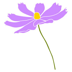 Wall Mural - Single cosmos flower vector simple illustration isolated on white background. Hand drawn colored version. Floral vector for childrens illustration, summer design, screen printing.