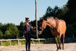Horse training on lunge in the paddock. with female trainer. Natural horsemanship.