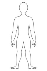 the human body. sketch. vector illustration. a muscular man in full height. unknown person. outline 