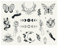 Set Of Mystical Forest Elements - Moon Phases, Crystals, Witchy Hands, Snake, Mushrooms, Floral Moon, Butterflies, Twigs. Vector With A Slotted Pattern. This Collection Will Be Great For Design Of Mys
