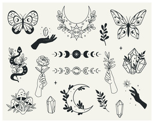 Wall Mural - set of mystical forest elements - moon phases, crystals, witchy hands, snake, mushrooms, floral moon