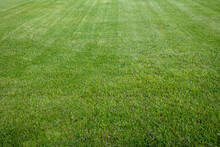 Perfect Lawn. Freshly Cut Lawn. New Lawn. Trimmed Grass.