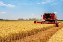 Combine Harvester Harvests Ripe Wheat. Agricultural Scene.