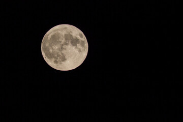 Close up of supermoon with visible craters on its surface on black night sky background with copy space	