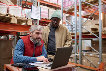 Mature bearded manager using laptop to check online transportation together with his colleague standing behind him at warehouse