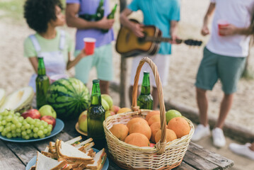 Poster - Photo of cute cheerful young buddies dressed casual outfits celebrating event playing guitar outdoors countryside