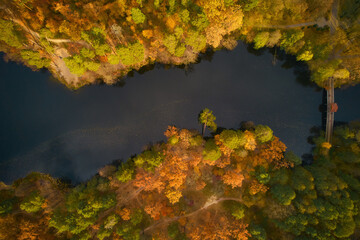 Drone view of the river flowing in autumn forest