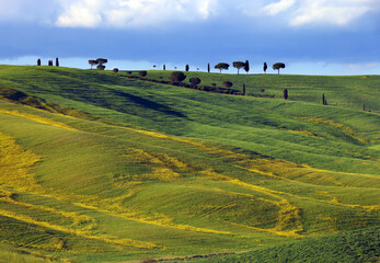 Canvas Print - Typical summer landscape in Tuscany, Italy, Europe	
