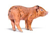 Rear view of a young pig (mixedbreed) looking at the camera