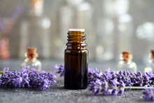 A Bottle Of Aromatherapy Essential Oil With Fresh Lavender Flowers