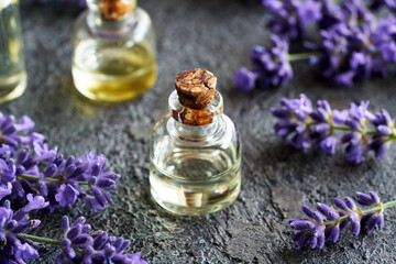  A bottle of lavender essential oil with fresh blooming lavender