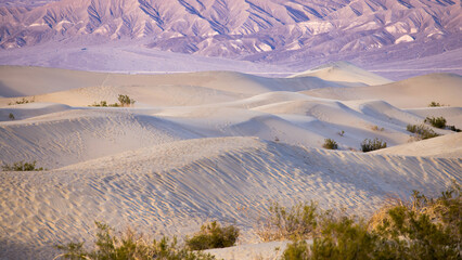 Sticker - Sand Dunes from Death Valley